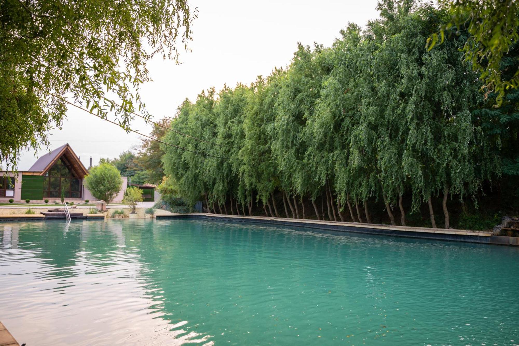 Hotel Butterfly Sadove Εξωτερικό φωτογραφία